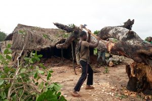 Proyecto: Reconstrucción de capillas en Mozambique