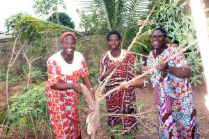 En Benin, en el oeste de África se ayuda al sustento para religiosas