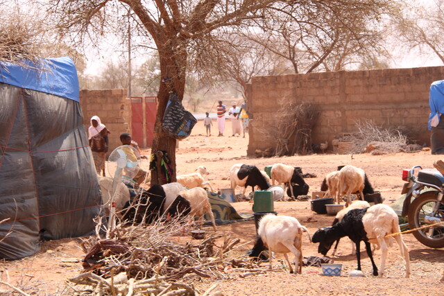 Níger: Reportan ataque yihadista a cristianos en Tillaberi